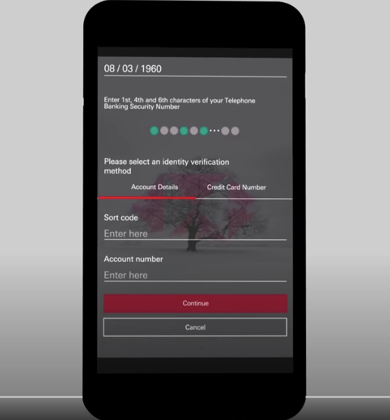 HSBC Passworteingabe Beispiel