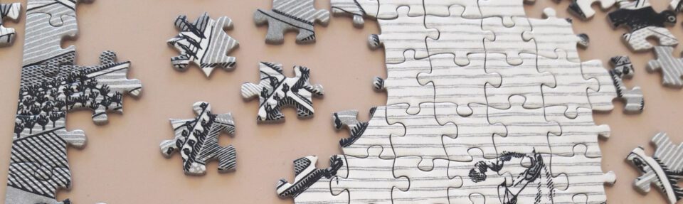 Warum sollten Sie Software integrieren?