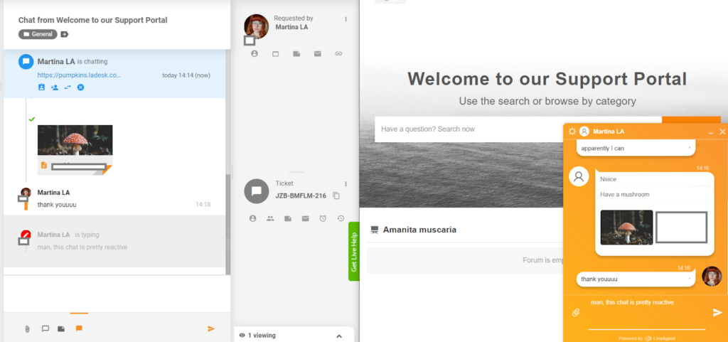 LiveAgent - Echtzeit-Tippvorschau