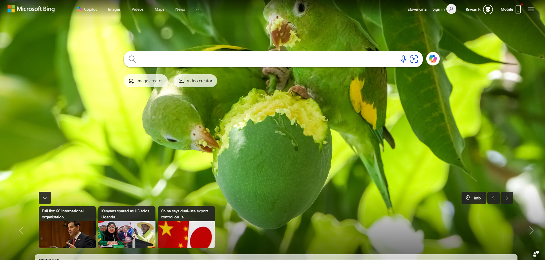 Bing Help Desk Kontakte