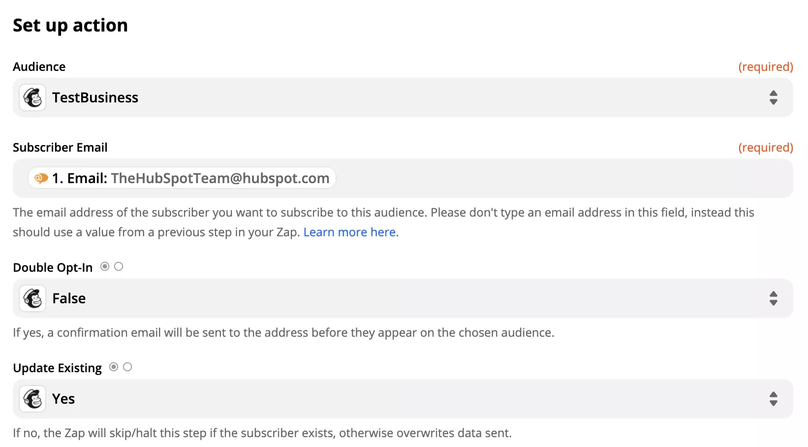Mailchimp-Aktions-Setup