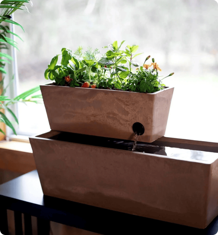 Wie AquaSprouts eine Kundenzufriedenheitsrate von 96,5% mit LiveAgent erreicht