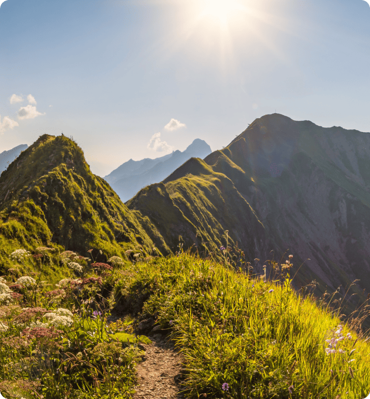Wie ZlavaDna den Kundensupport mit LiveAgent verbesserte